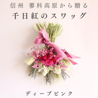ふるさと納税 茅野市 信州八ヶ岳の麓から贈る 千日紅のドライフラワースワッグM(ディープピンク)