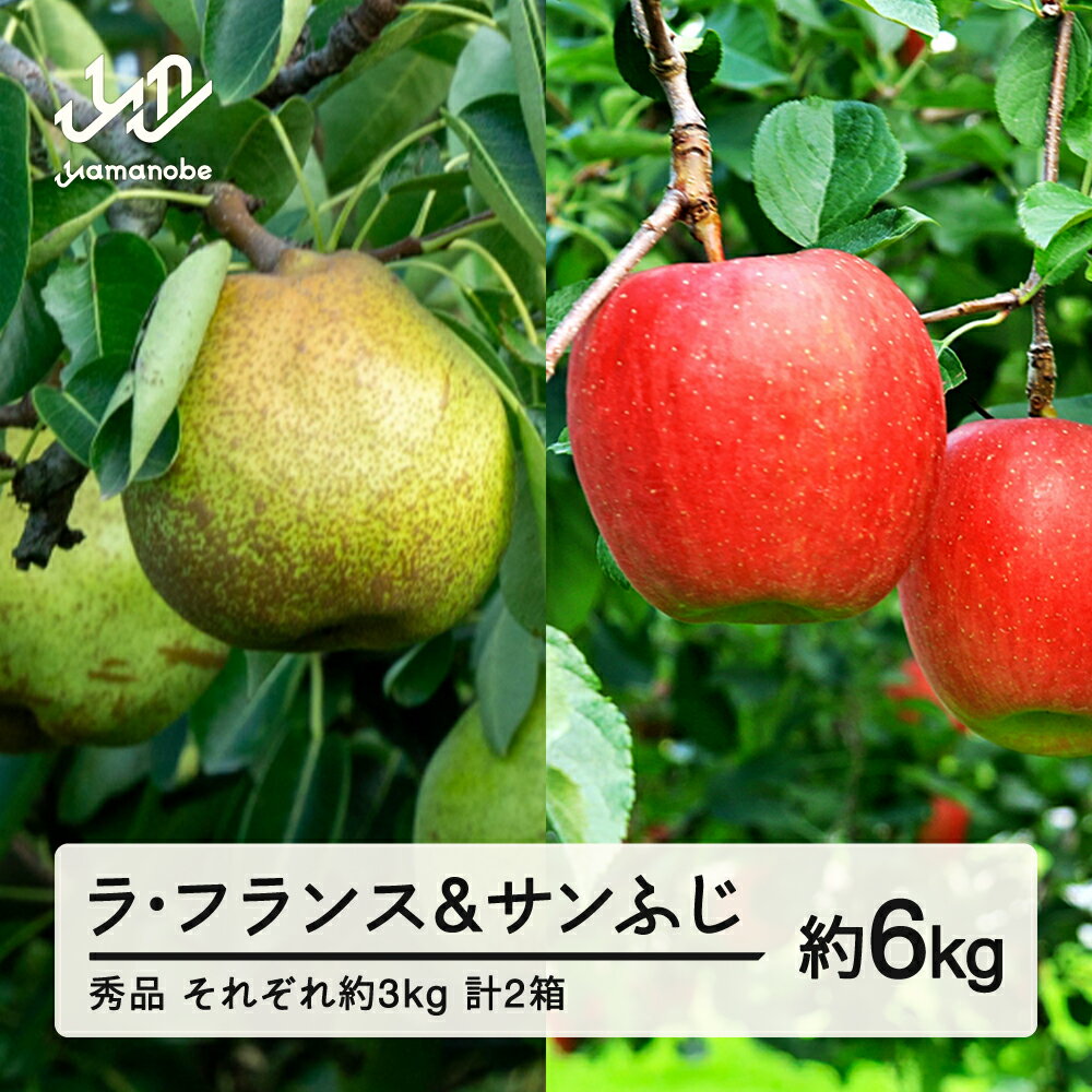 【ふるさと納税】先行予約 ラ・フランス サンふじセット 約6kg 各約3kg(6~12個程度) 各1箱 計2箱 秀品程度 洋梨 りんご 2026年産 山形県産 ※沖縄・離島への配送不可 送料無料 tf-fslrx3
