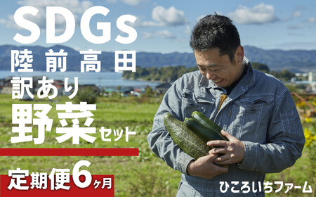 【定期便6ヶ月】訳あり野菜セット 約3～4種類 農家のおすそわけ 旬 野菜セット