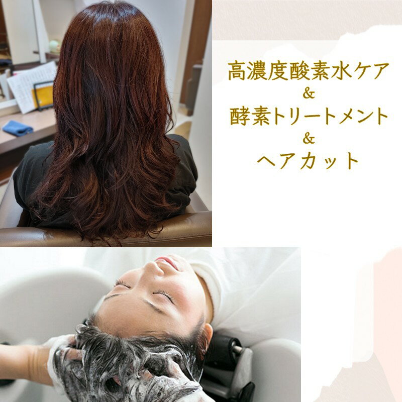 【ふるさと納税】髪質改善ケア 施術利用券 酵素トリートメント&ヘアカット&高濃度酸素水ケア 硬い髪 ダメージヘア 「酵素のチカラでやわらかい髪へ 」 90分コース