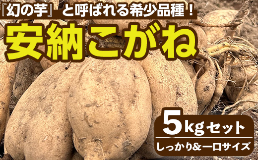 n331 ＜期間限定！＞種子島産 安納こがね(5kgセット) 国産 安納芋 黄金本場 種子島 芋 イモ いも さつまいも さつま芋 安納いも 野菜 【なかたね農産】