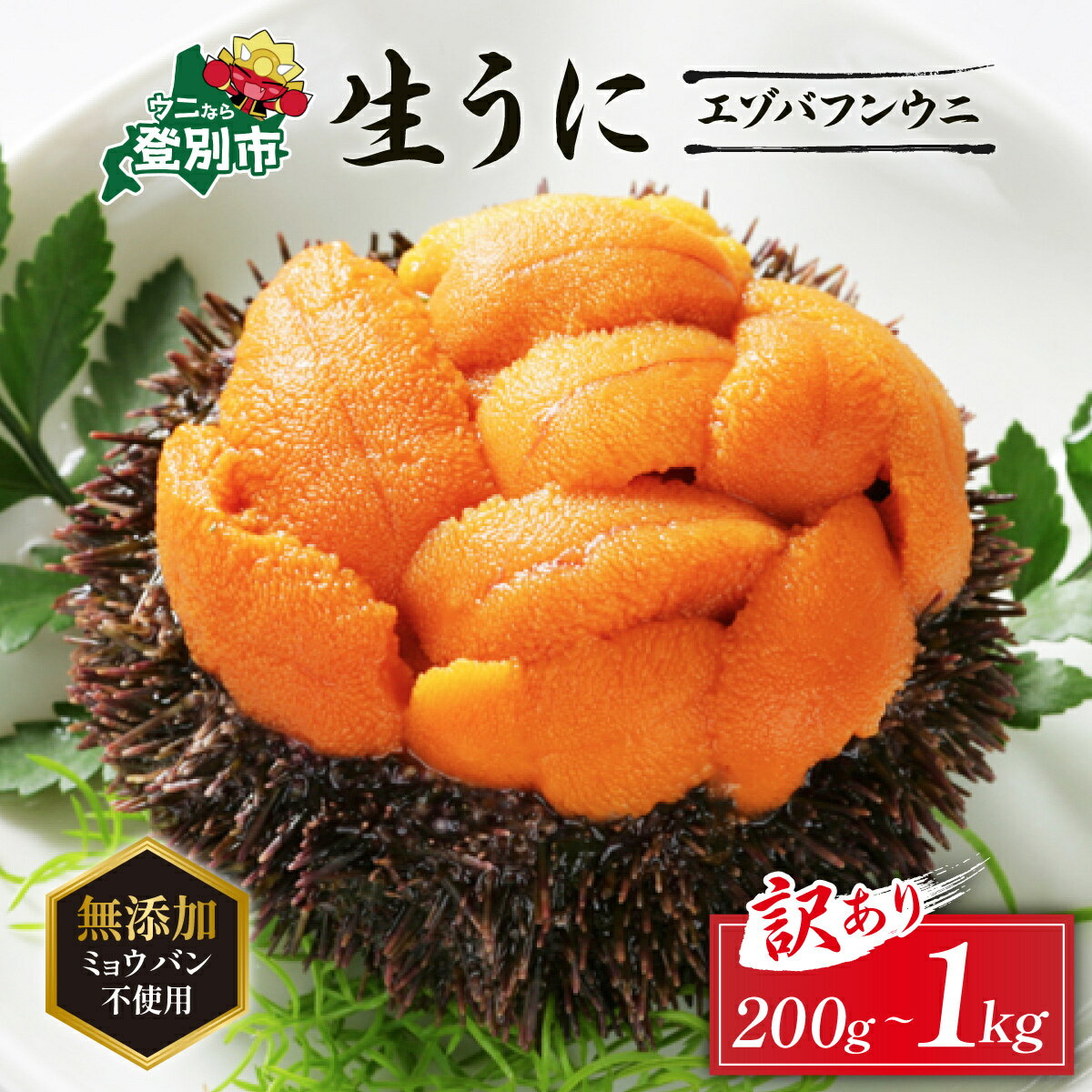 【ふるさと納税】うに ミョウバン不使用 北海道 生うに 塩水パック エゾバフンウニ 雲丹 200g 〜 1kg 《アフター保証付き》 | ふるさと納税 うに 北海道 訳あり ウニ 無添加 規格外 登別 ふるさと ランキング 送料無料 ギフト 2025