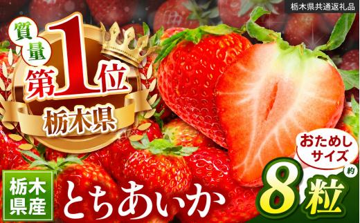 苺 いちご お試しとちあいか8粒【栃木県共通返礼品】 栃木県 下野市