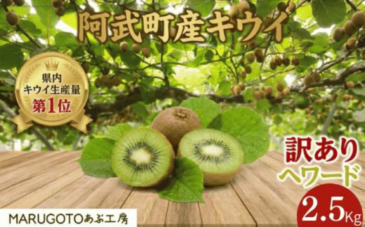 
                  【先行予約】【訳あり】キウイ ヘイワード 2.5kg 山口県阿武町産 家庭用 数量限定 国産 果物
                