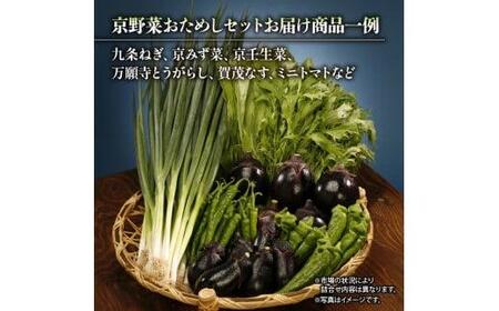 京野菜おためしセット 6種程度 ( 京野菜 野菜詰め合わせ セット野菜 京都 野菜 季節 野菜 旬 野菜 九条ネギ 万願寺 賀茂なす 京都府産 野菜 数量限定 冷蔵 野菜セット 京野菜セット)