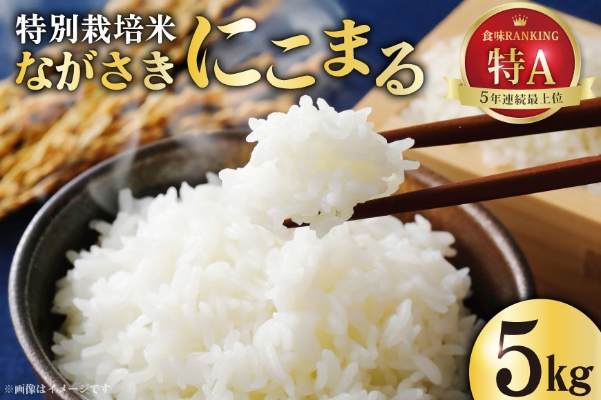 DA023 特別栽培米ながさきにこまる 5kg [ 白米 精米 ごはん ご飯 こめ おこめ 5キロ もちもち おにぎり 粘り おいしい 長崎県産 長崎県産米 長崎にこまる 長崎県 島原市 ]