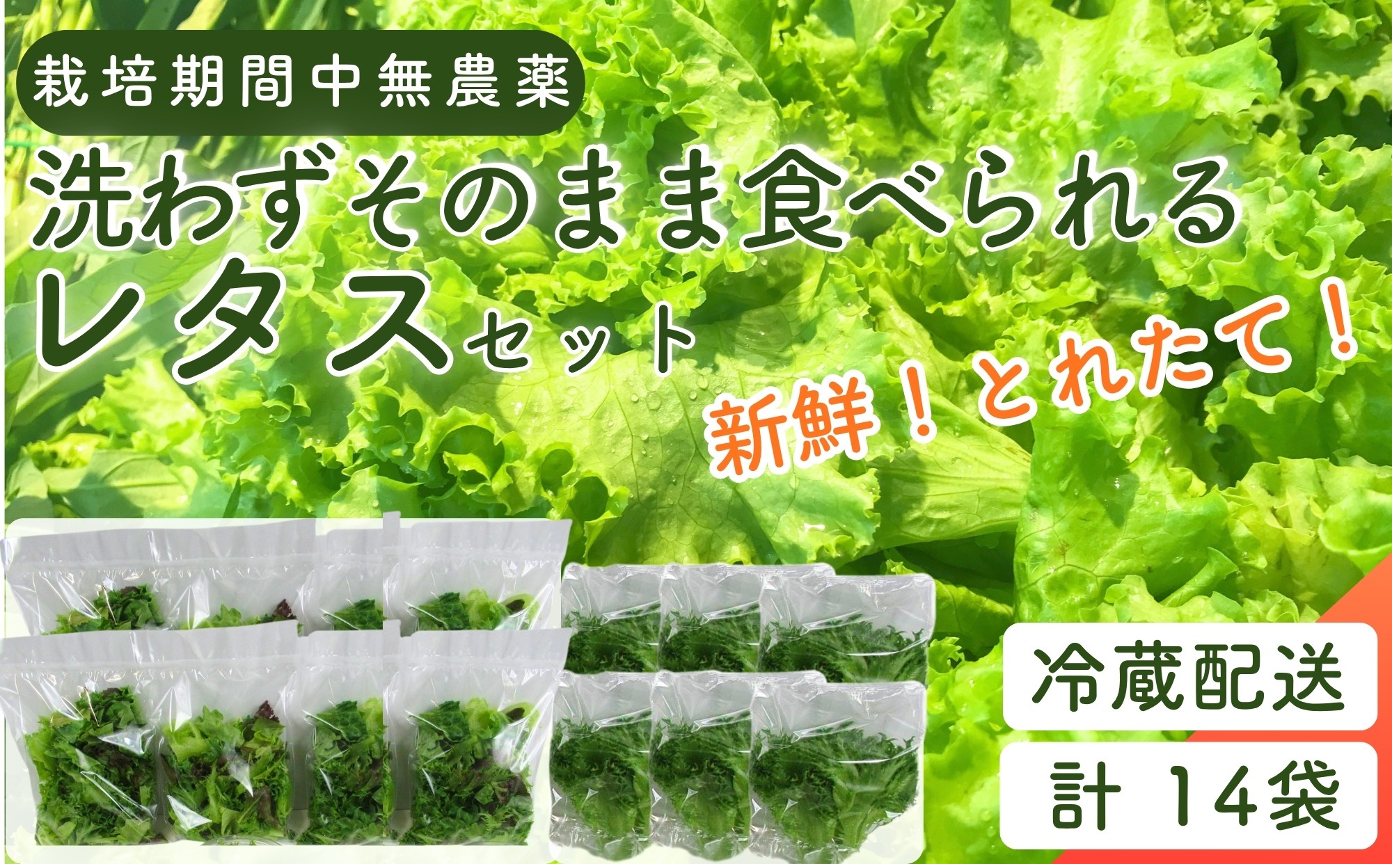 
                   野菜 詰め合わせ レタス ベビーリーフ【洗わずそのまま食べられる】【栽培期間中農薬不使用】【日本テレビ『news every.』で紹介！】  合計14袋（（80ｇ）×8、（100ｇ）×6） おまかせセット 小分け フリルレタス ルッコラ レッドオーク 赤茎水菜 わさび菜 サンゴかいわれ   簡易包装 水耕栽培 LED 栽培  ベジタブル   お得な大容量セット C 東松島ファーム
                