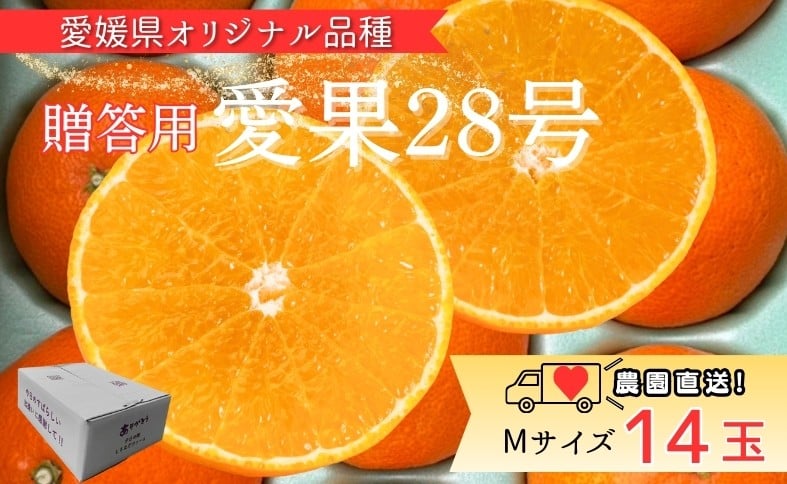 
                  みかん 愛果28号 Mサイズ 14玉 贈答用 紅まどんなと同一品種 農園直送 先行予約 【2026年11月中旬から順次発送予定】 愛媛 数量限定 愛媛県産 人気 柑橘 伊予市｜ B530
                