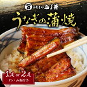 【ふるさと納税】「 うなぎのふじ井 」うなぎの蒲焼 1尾 or 2尾 送料無料 鰻 蒲焼き うな丼 うな重 ひつまぶし うざく たれ 土用 丑の日 選べる 鹿児島市 土産 贈り物 プレゼント ギフト 贈答