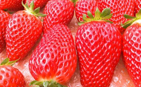 CRAFT 旭川いちご　糀あまざけ　10缶