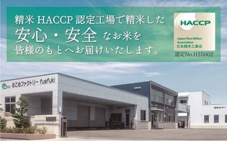 山梨県産米2kg×2種セット【武川米こしひかり・信玄コシヒカリ】 115-001