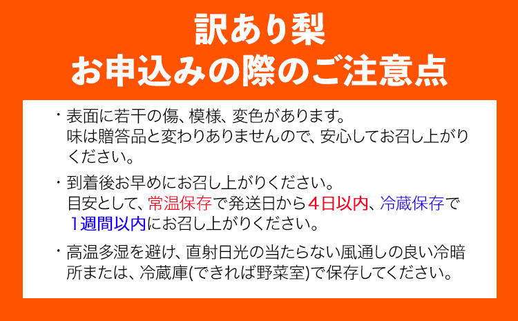 【先行予約 】訳あり なし 梨 新甘泉 約3kg (4~10玉) 高間商店《2025年8月下旬-10月上旬頃出荷》 鳥取県 八頭町 梨 なし ナシ 果物 フルーツ ご家庭用 訳あり 先行予約 送料無料