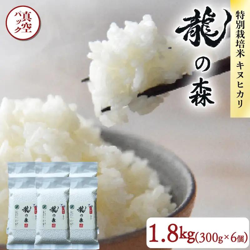 【パックご飯】京都府産キヌヒカリ パックご飯 300g×6個 龍の森