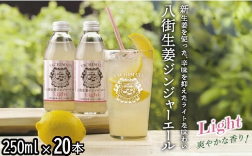 八街生姜ジンジャーエールLIGHT（20本セット） ジンジャーエール 生姜 八街 ジュース ジンジャー 瓶 ビン セット 辛口 定期便 ギフト 辛口 濃厚 飲料 炭酸 炭酸飲料 生姜 国産 贈答用 千葉