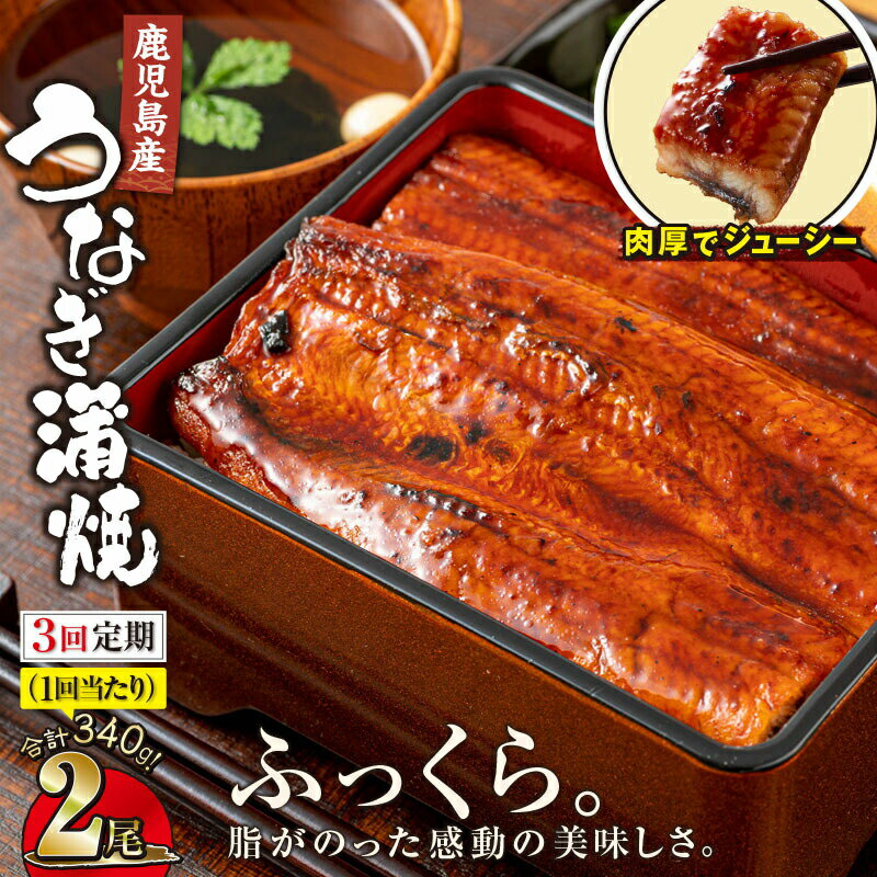 【ふるさと納税】 【定期便 全3回】うなぎ 蒲焼 鹿児島産 鰻 170g 2尾 ×3回 合計 1020g (340g×3回) 地下水で育った 絶品 蒲焼き 養殖 本場 鹿児島 より 直送 たれ 付 真空パック 湯煎 レンジ 簡単調理 国産 国産うなぎ 定期 うなぎ蒲焼 鹿児島県 鹿屋市 【財宝】