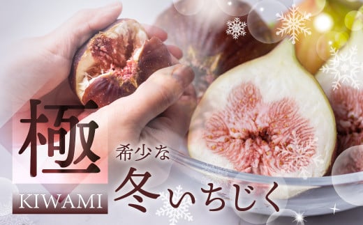 【11月、12月お届け 冬いちじく】先行予約  秋の希少な いちじく 極 9-12玉 完熟 大玉 2025年発送 　11月お届け 12月お届け フルーツ 【専用箱】入手困難 果物 春 秋 いちじく イチジク 無花果 フルーツ 果物 旬 希少 極 