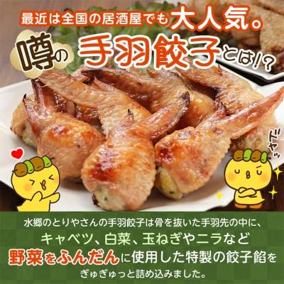 ふるさと納税 香取市 8秒に1本売れてます!手羽先餃子10本セット/水郷のとりやさん |  | 01