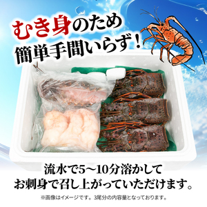 【伊勢海老】 1kg  3～5尾 冷凍 むき身 イセエビ イセエビ