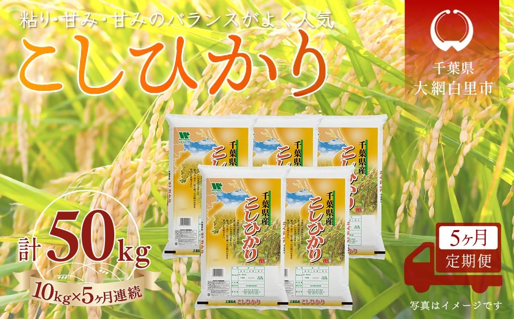 
                  ＜5か月定期便＞ 千葉県産「コシヒカリ」精米 10kg×5か月連続 計50kg
                