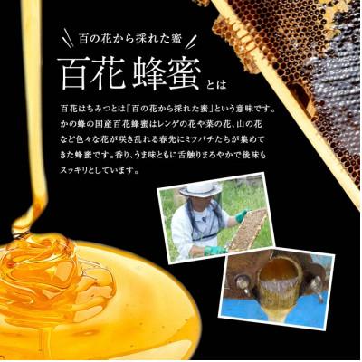 ふるさと納税 八女市 かの蜂の国産純粋蜂蜜 百花蜂蜜 3kg(500gとんがりポリ容器×6本) 八女市 |  | 02