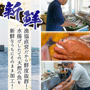 No.477 鹿児島県日置市産鯛使用！地元で獲れた地魚100%の漬け(10袋・真鯛50g×4袋+チヌ鯛70g×3袋+旬の魚70g×3袋)【吹上町漁協】