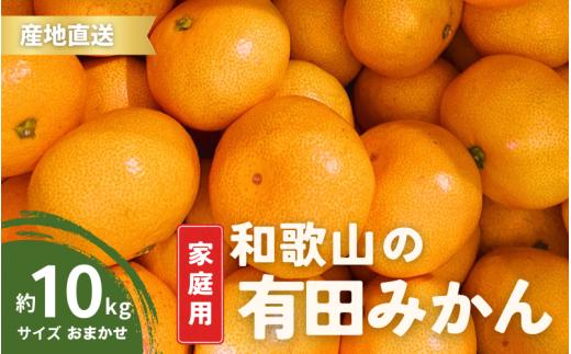 【1月発送】訳あり 家庭用  有田みかん 和歌山  S～Lサイズ 大きさお任せ 10kg / みかん フルーツ 果物 くだもの 有田みかん 蜜柑 柑橘【ktn008B-1】