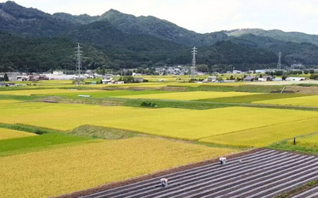 たまり漬け 【 常陸太田市たまり漬 里川町 地場産漬物 野菜たまり漬 里美】