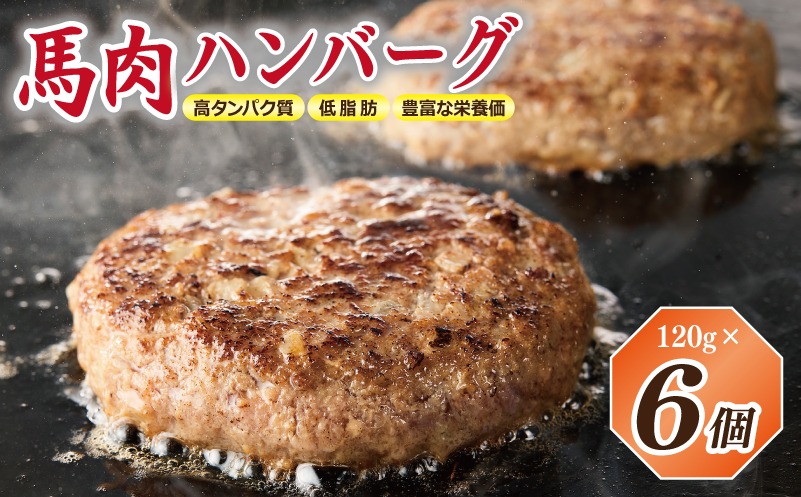 G1729 【特別規格】桜文 馬肉ハンバーグ 総量720g（120g×6個） 個包装 お試し