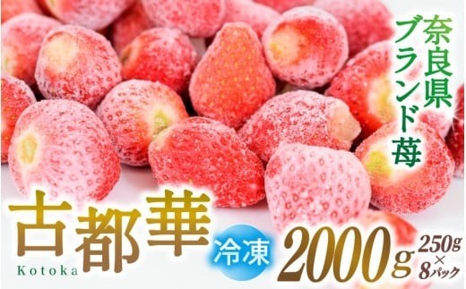 
                  ブランド苺 冷凍 古都華 約2kg [250g×8パック]/若手農家 地域応援 古都華 いちご 冷凍いちご イチゴ 苺 奈良 奈良県産いちご 葛城市 産直 高級 甘い 濃厚 あかい フルーツ 限定 果物 旬 スイーツ ギフト ふるさと納税 人気 ランキング 1位【smlk032】
                