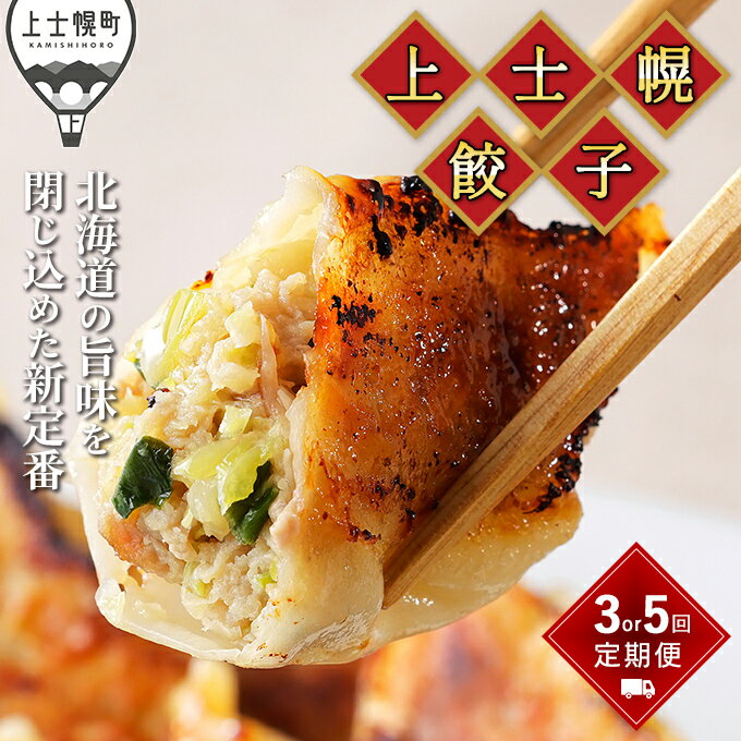 【ふるさと納税】餃子 上士幌餃子 定期便 選べる2コース（3回 or 5回） ギョウザ ギョーザ 国産 北海道産 十勝産SPF豚使用 冷凍生餃子 お惣菜 中華 点心 お取り寄せ レビューキャンペーン対象品 ※オンライン申請対応