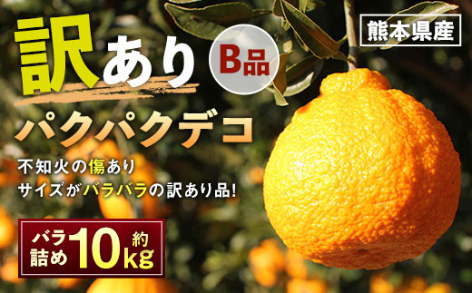 
パクパクデコ 10kg バラ詰め 訳あり（B品） 不知火 果物 くだもの フルーツ【2025年2月下旬～6月下旬発送】
