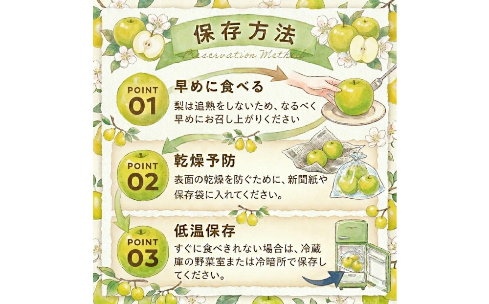 東商果樹園 新甘泉(赤秀)3kg(８月下旬から発送）