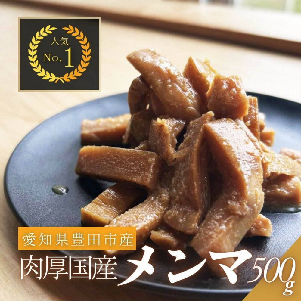 【ふるさと納税】愛知県豊田市　定番の醤油味付けメンマ　100g×5パック | メンマ 調味料 食品 加工食品 人気 おすすめ 送料無料