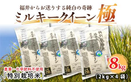 【令和6年産・新米】（白米）お米の女王！農薬・化学肥料不使用 特別栽培米 ミルキークイーン極 8kg (2kg × 4袋) [C-2922_01]