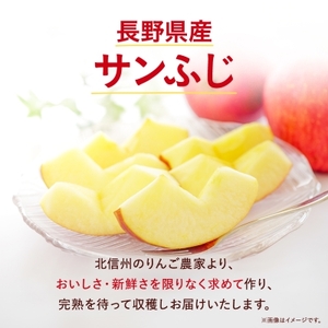 りんご サンふじ 家庭用 8kg