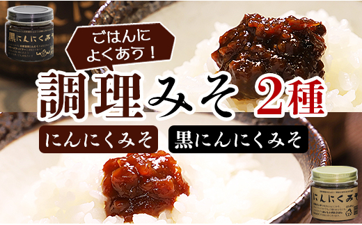 
南国農家 ごはんによくあう！調理みそ2種(にんにくみそ、黒にんにくみそ) ng-0006
