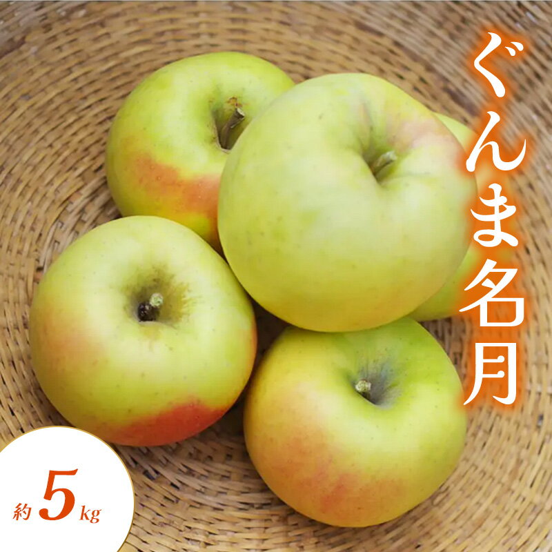 【ふるさと納税】ぐんま名月 約5kg りんご リンゴ 林檎 果物 フルーツ 長野県 長野 山ノ内町　お届け：2025年10月下旬～11月下旬