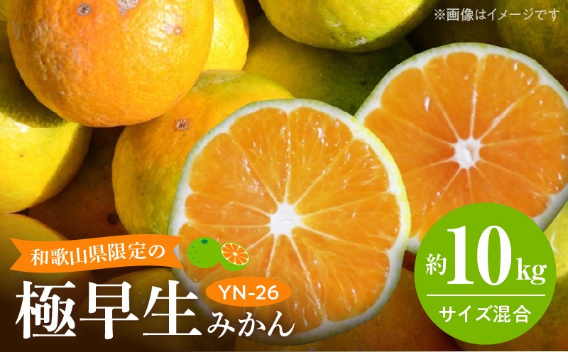 
            EA6041_和歌山県限定の極早生みかん10kg (YN-26 大小混合)
          