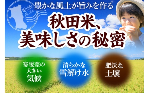 《令和8年産 新米》米 あきたこまち 20kg（5kg×4袋）【白米】秋田県産 [新米 米 コメ 白米 あきたこまち おいしい 美味しい 安全 自然の恵み]