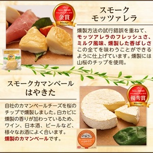 高評価! ナチュラルチーズコンテスト受賞! 夢民舎ブランド はやきたチーズ色々詰合せセット【配送不可地域：離島】【1001151】