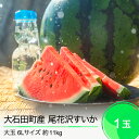 【ふるさと納税】先行予約 尾花沢すいか 大玉 6L×1玉入り 2025年産 令和7年産 送料無料 スイカ 大石田