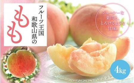 フルーツ王国　和歌山の桃　約４kg（fr-07）【先行予約 2024年6月中旬～7月下旬発送】