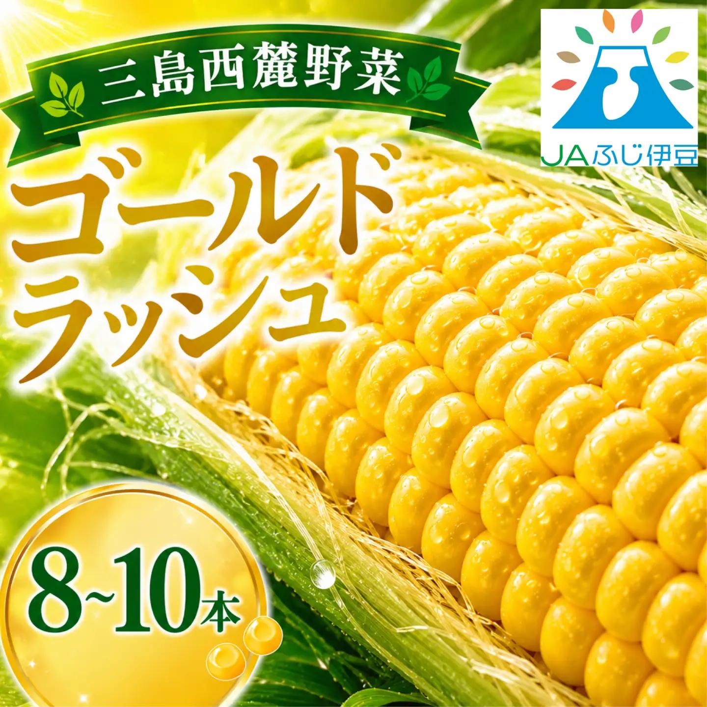 三島 とうもろこし ゴールドラッシュ 8本～10本 とうもろこし