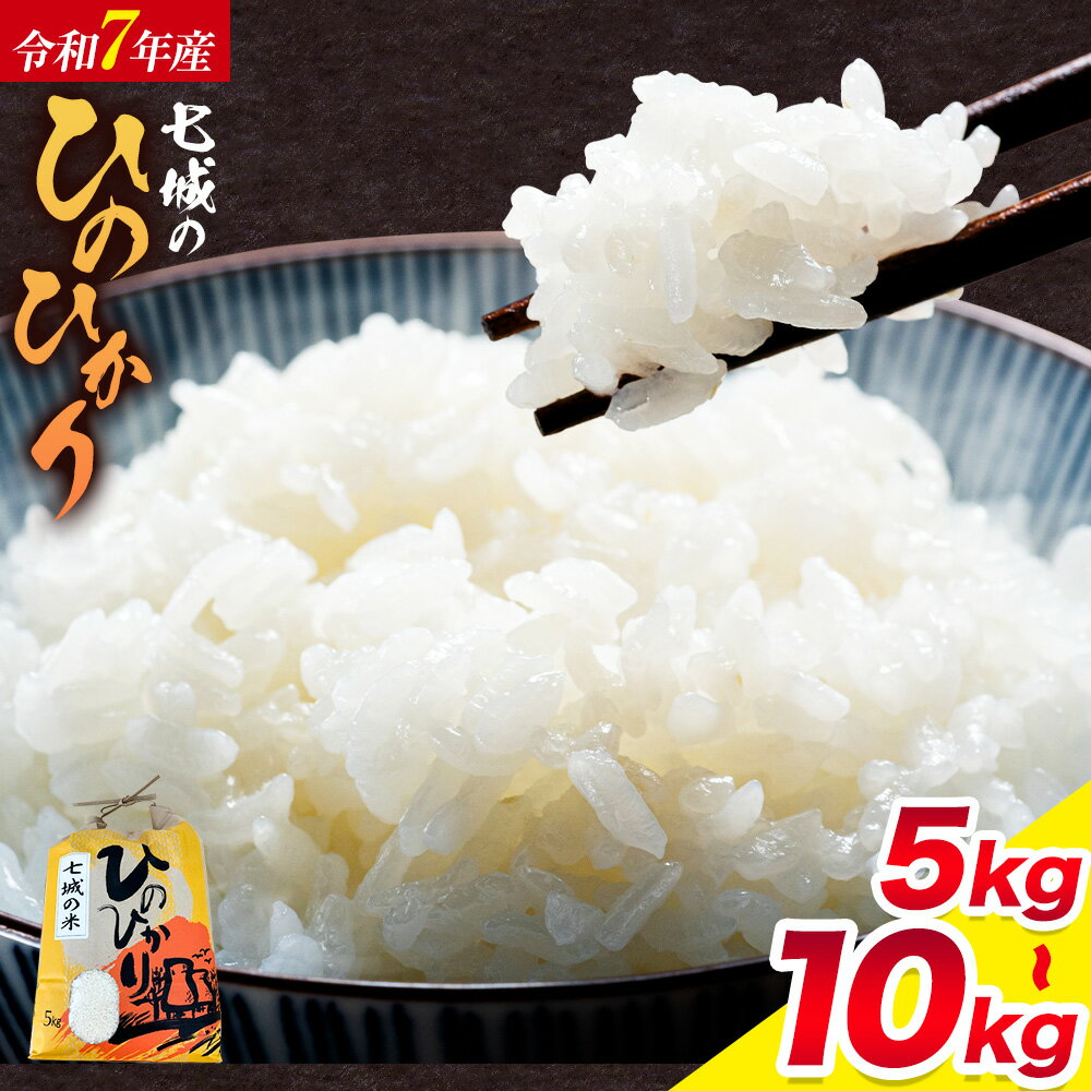 【ふるさと納税】米 令和7年産 七城の ひのひかり 5kg 10kg 定期便あり 有限会社草佳苑《90日以内に出荷予定(土日祝除く)》熊本県 菊池市 こめ 米 ひのひかり ブランド米 お米 定期便 3ヶ月 6ヶ月