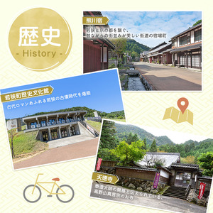 旅行 若狭町 プレミアム宿泊利用券 9000円分 1枚 宿泊補助券 福井県 福井 チケット 宿泊券 旅行券 宿泊 旅館 ホテル 9千円 福井県若狭町 