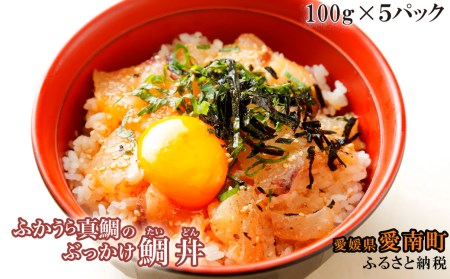 感謝を込めて１パック増量！　ふかうら真鯛のぶっかけ鯛丼　５パック 真鯛 まだい ぶっかけ 真鯛 まだい ぶっかけ 真鯛 まだい ぶっかけ 真鯛 まだい ぶっかけ 真鯛 まだい ぶっかけ 真鯛 まだい ぶっかけ 真鯛 まだい ぶっかけ 真鯛 まだい ぶっかけ 真鯛 まだい ぶっかけ 真鯛 まだい ぶっかけ 真鯛 まだい ぶっかけ 真鯛 まだい ぶっかけ 真鯛 まだい ぶっかけ 真鯛 まだい ぶっかけ