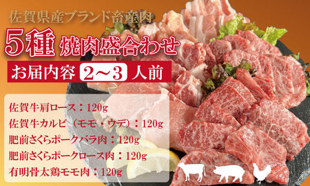 佐賀県産ブランド畜産肉（佐賀牛・肥前さくらポーク・有明骨太鶏）盛合わせセット（600g） ブランド牛 人気 ランキング 高評価 牛肉 国産 佐賀県産 黒毛和牛 牛 佐賀 小城市 有明・潮風ファーム  