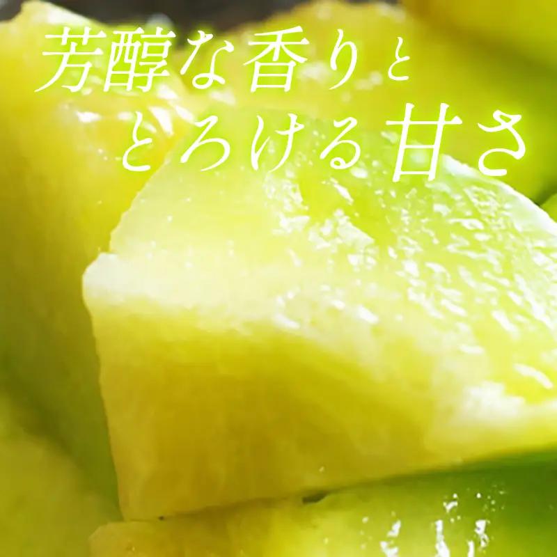 B-14 アールスメロン　秀品　2玉【秋作】