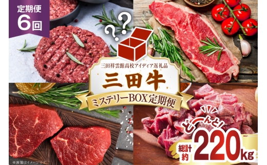 【三田祥雲館高校アイディア返礼品】 三田牛 ミステリーボックス 6回 定期便 1頭分 計約220kg [丸優 兵庫県 三田市 3d28bae590015] 肉 牛肉 サーロイン ステーキ 焼肉 フィレ 肩 バラ モモ ネック すね