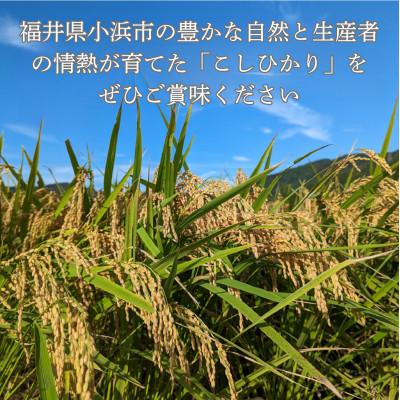 ふるさと納税 小浜市 令和7年産新米こしひかり玄米20kg(ラクト農法) |  | 03